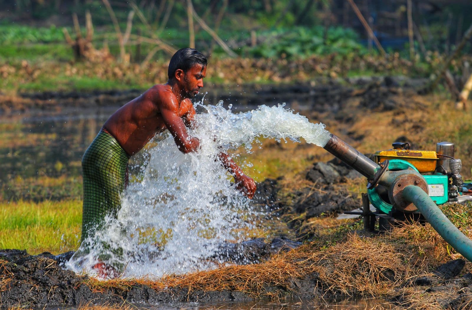Pompage solaire pour l'irrigation d'une parcelle agricole